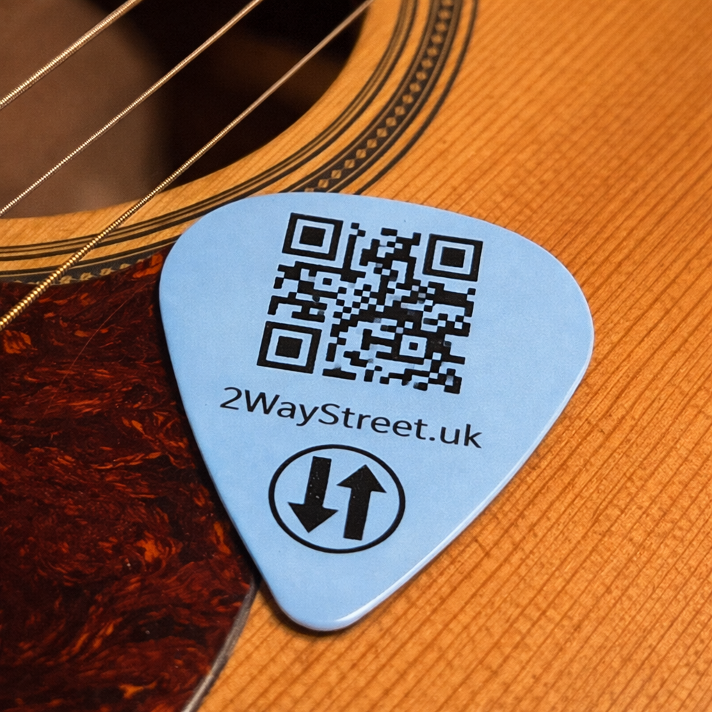 Guitar Plectrum
